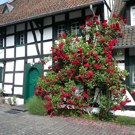 Falderhof Cologne Luaran gambar
