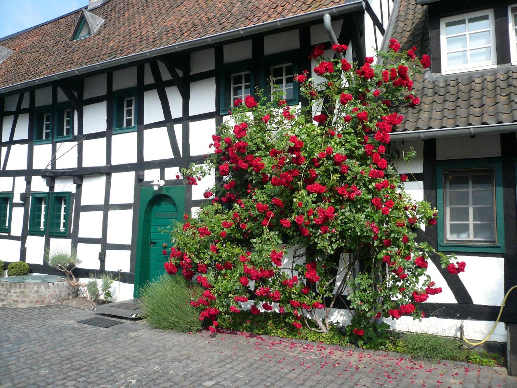 Falderhof Cologne Luaran gambar