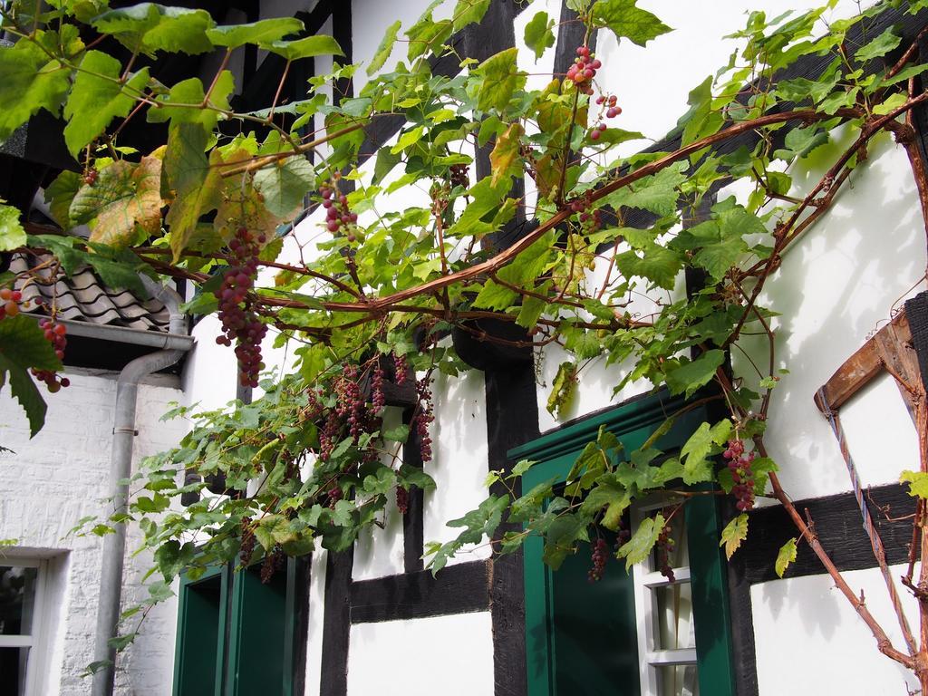 Falderhof Cologne Luaran gambar